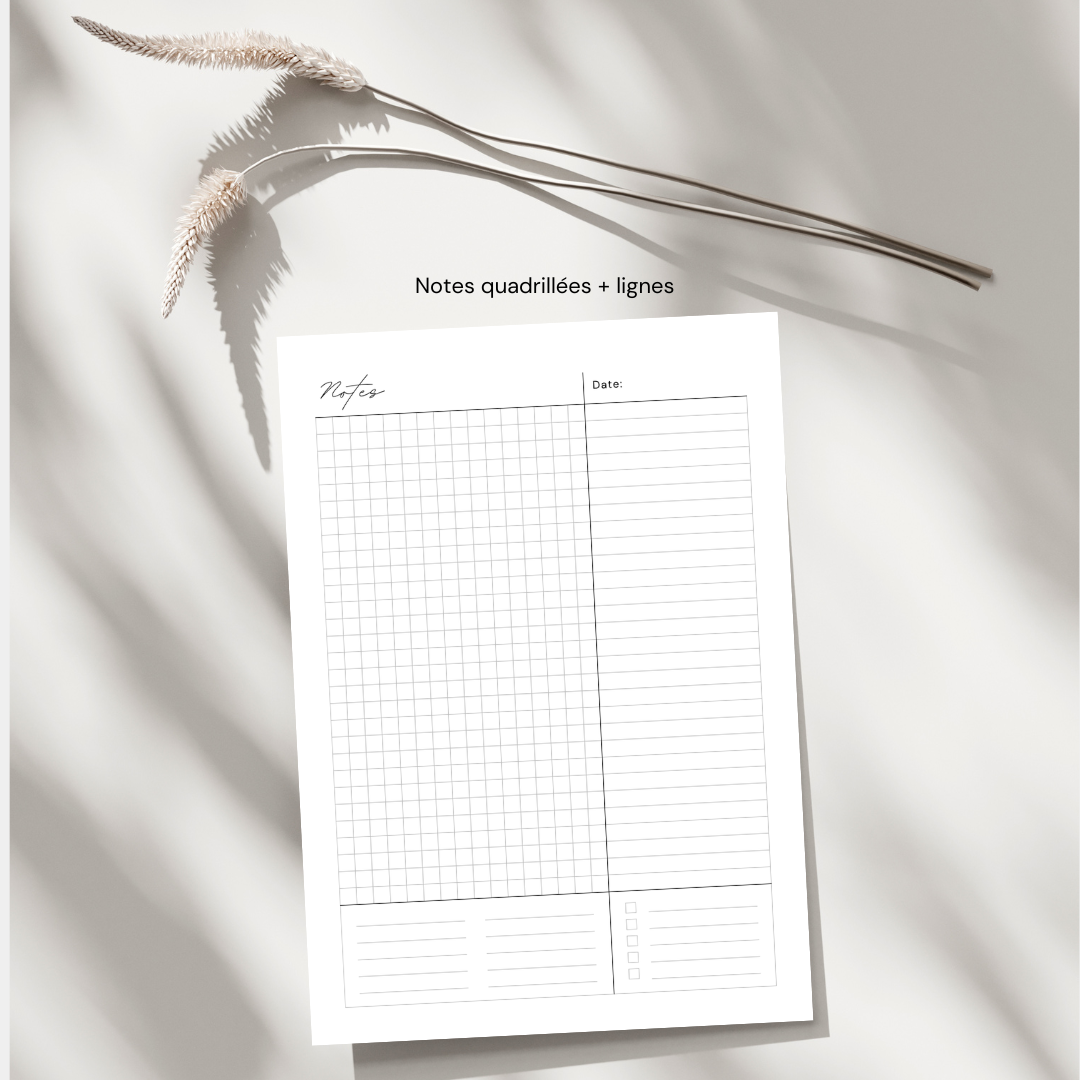 notes quadrillées + lignes (1)