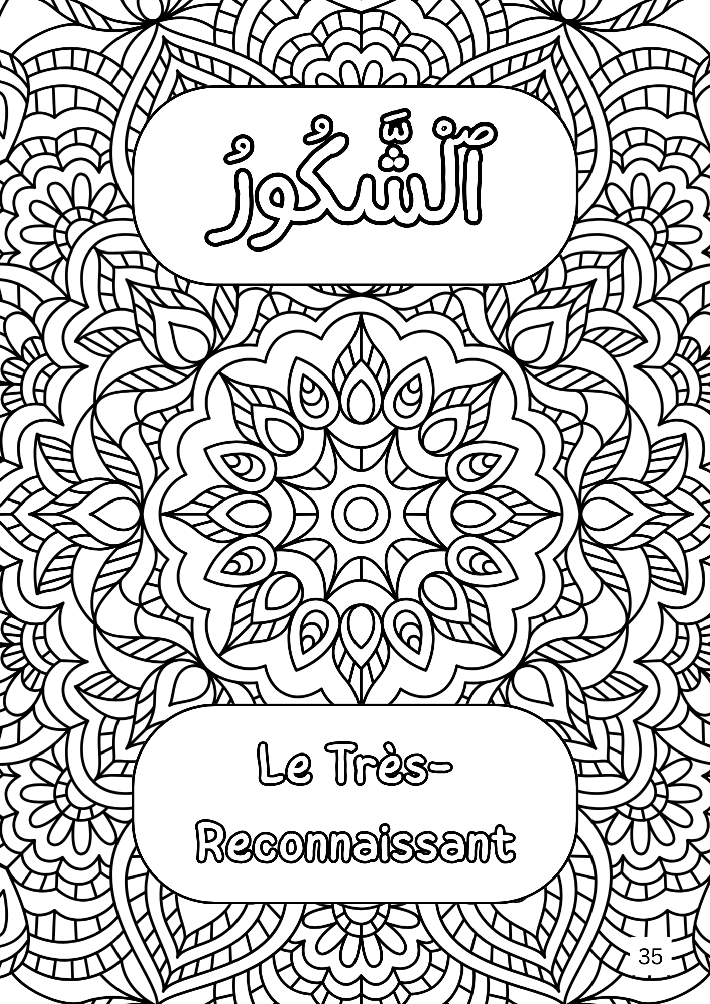 Ash-Shakūr