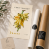 fruitmarketbanane3