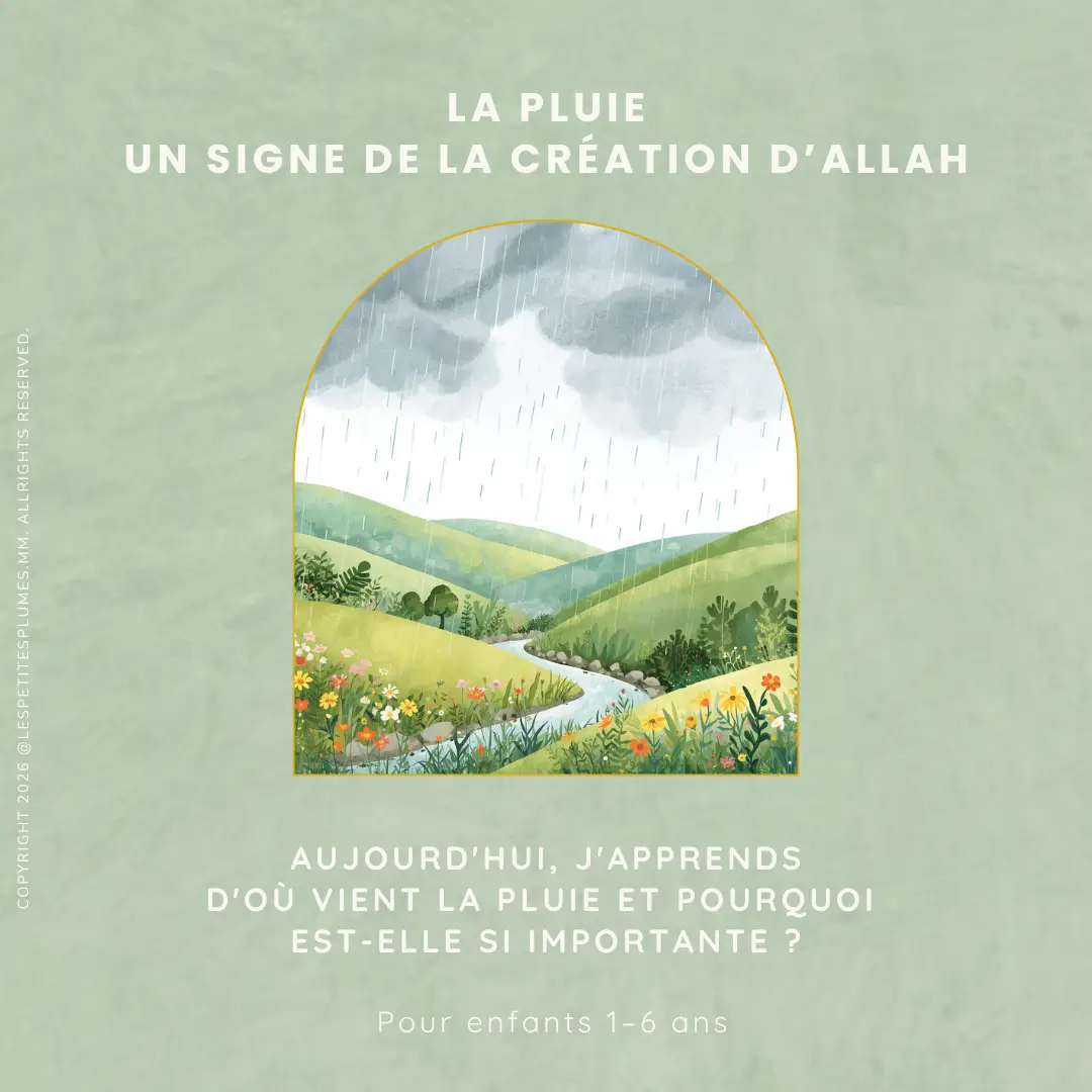pluie